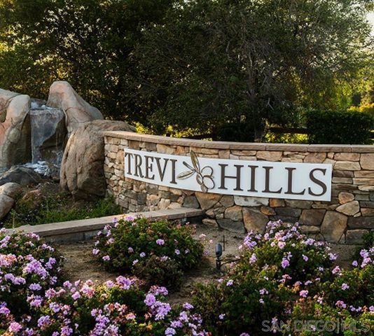 12872 Vineyard Crest Pl, Lakeside, CA 92040