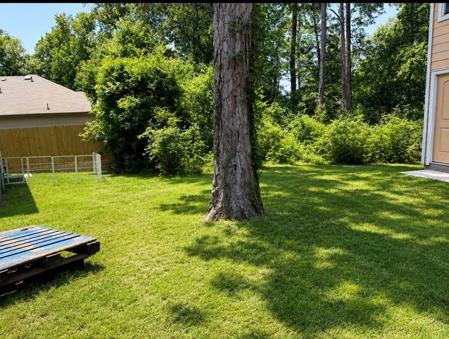 136 Black Walnut, Livingston, TX 77351