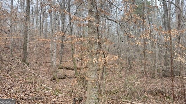 00 LOT1 N. Helton Road, Winston, GA 30187