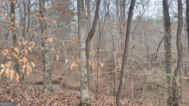 00 LOT1 N. Helton Road, Winston, GA 30187