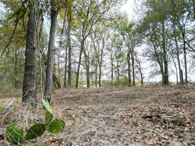 3935 County Road 464, Elgin, TX 78621