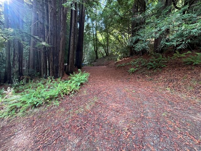 1355 Nicasio Valley Rd, Nicasio, CA 94946