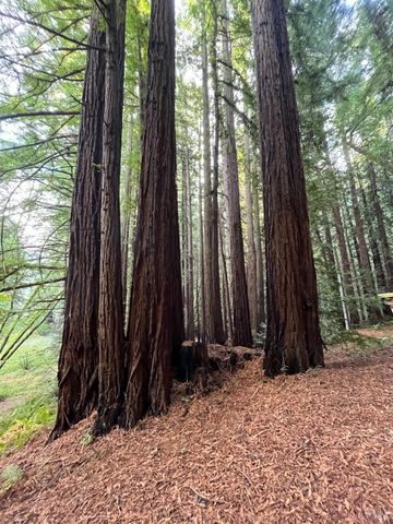 1355 Nicasio Valley Rd, Nicasio, CA 94946