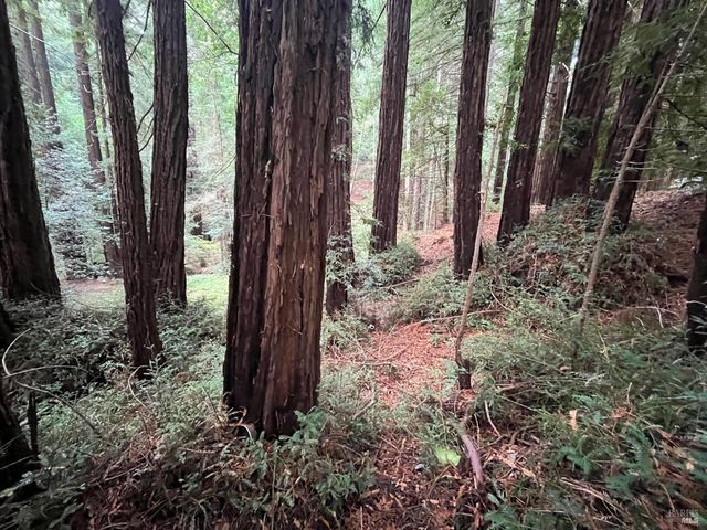 1355 Nicasio Valley Rd, Nicasio, CA 94946