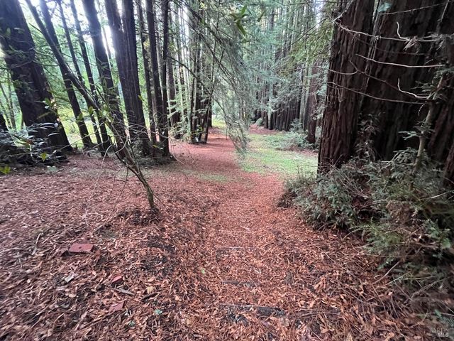 1355 Nicasio Valley Rd, Nicasio, CA 94946