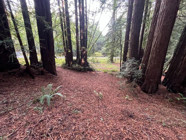 1355 Nicasio Valley Rd, Nicasio, CA 94946