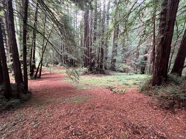 1355 Nicasio Valley Rd, Nicasio, CA 94946