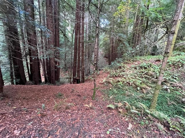 1355 Nicasio Valley Rd, Nicasio, CA 94946