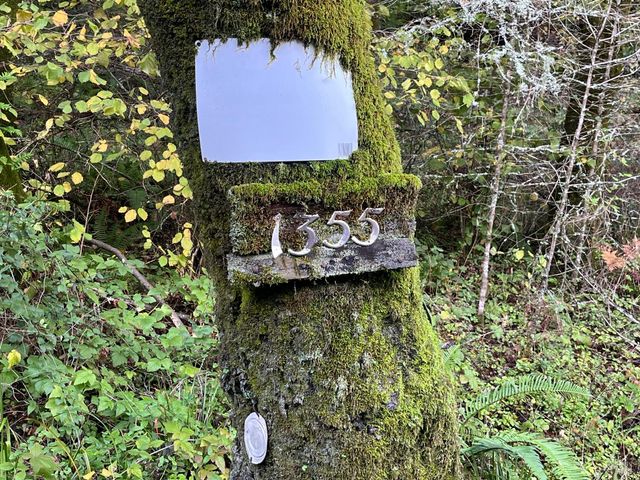 1355 Nicasio Valley Rd, Nicasio, CA 94946