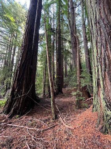 1355 Nicasio Valley Rd, Nicasio, CA 94946