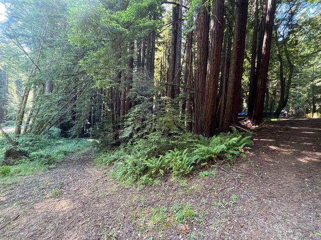 1355 Nicasio Valley Rd, Nicasio, CA 94946