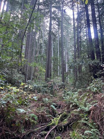 1355 Nicasio Valley Rd, Nicasio, CA 94946