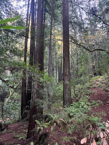 1355 Nicasio Valley Rd, Nicasio, CA 94946