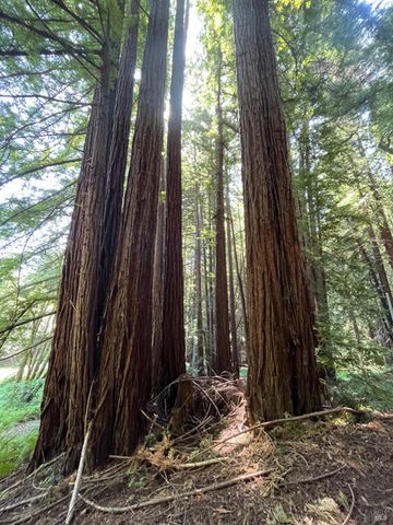 1355 Nicasio Valley Rd, Nicasio, CA 94946