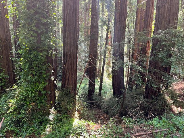 1355 Nicasio Valley Rd, Nicasio, CA 94946