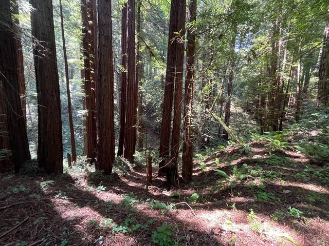 1355 Nicasio Valley Rd, Nicasio, CA 94946