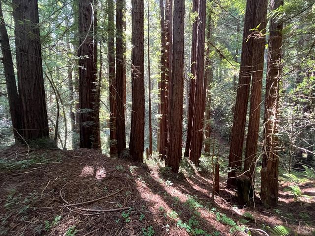 1355 Nicasio Valley Rd, Nicasio, CA 94946