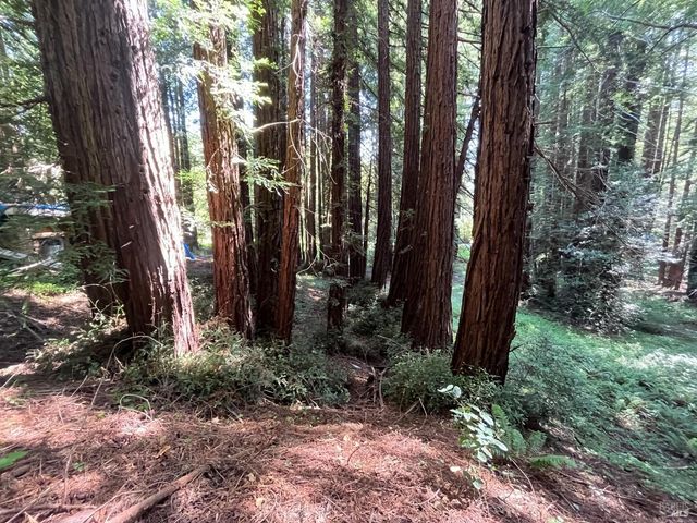 1355 Nicasio Valley Rd, Nicasio, CA 94946