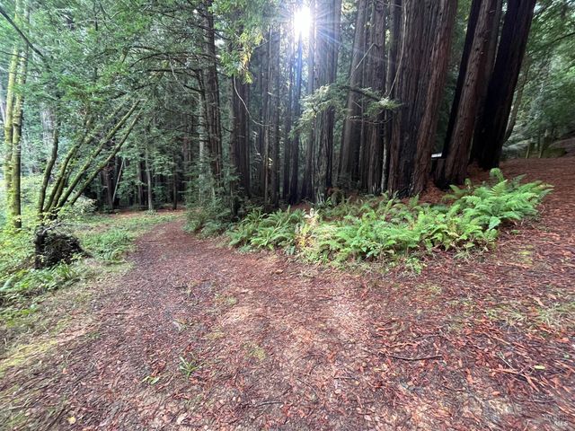 1355 Nicasio Valley Rd, Nicasio, CA 94946