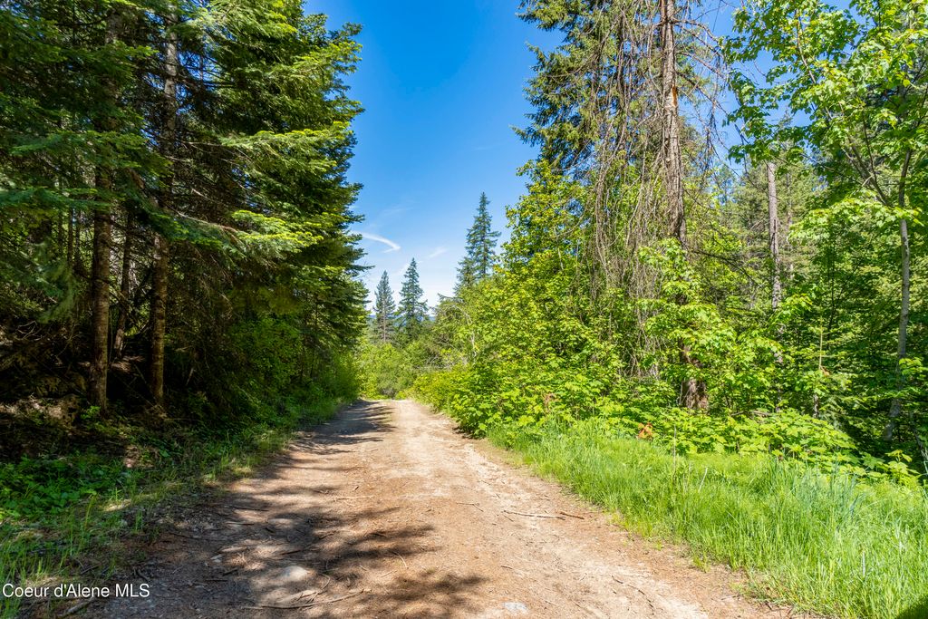 NNA E Moscow Bay Rd, Harrison, ID 83833 photo 11