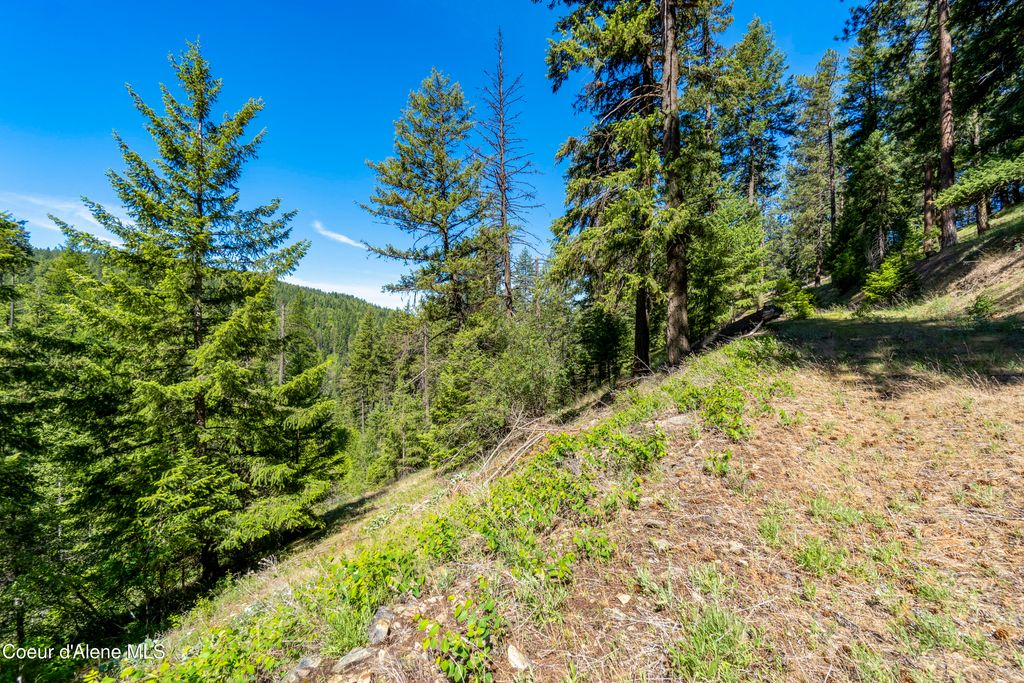 NNA E Moscow Bay Rd, Harrison, ID 83833 photo 12