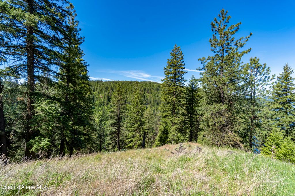 NNA E Moscow Bay Rd, Harrison, ID 83833 photo 14