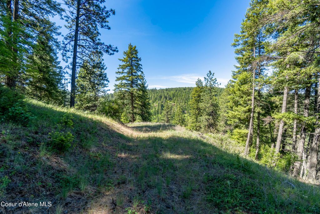 NNA E Moscow Bay Rd, Harrison, ID 83833 photo 15