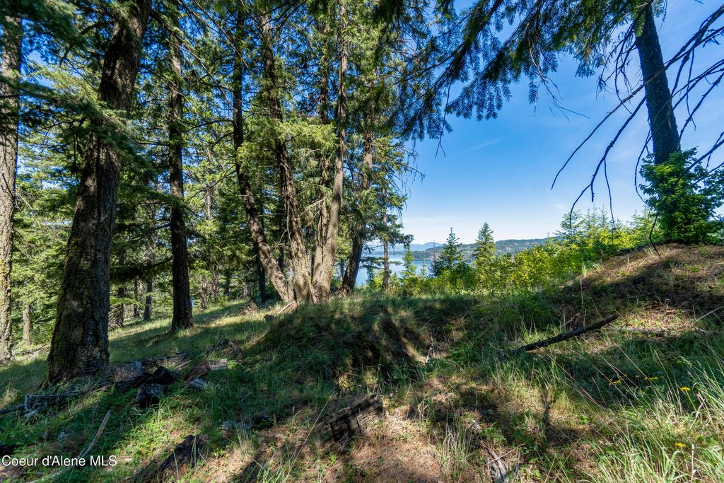 NNA E Moscow Bay Rd, Harrison, ID 83833 photo 20