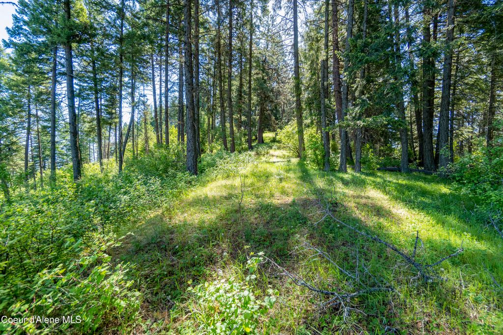 NNA E Moscow Bay Rd, Harrison, ID 83833 photo 22