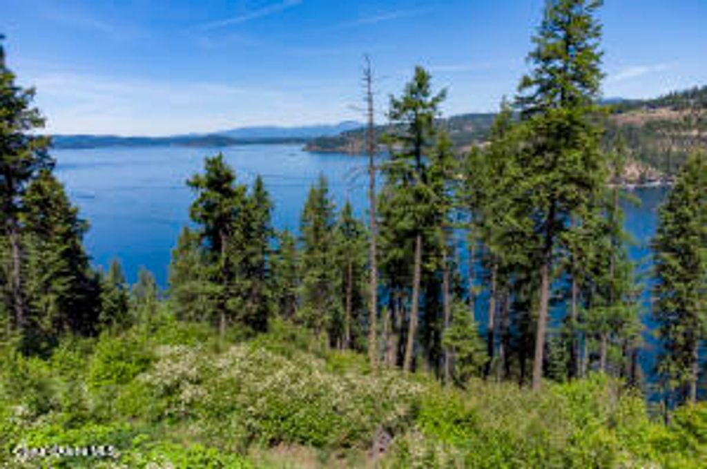 NNA E Moscow Bay Rd, Harrison, ID 83833 photo 25