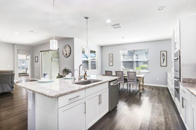 11642 LAKE LUCAYA DRIVE, Riverview, FL 33579
