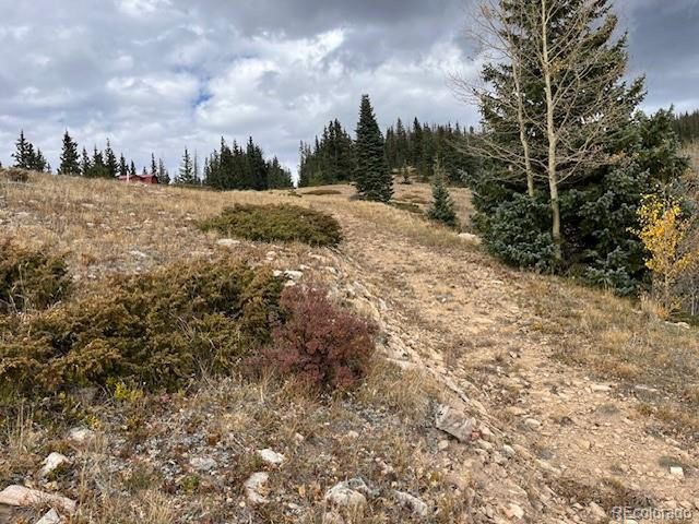 6557 Schlueter Rd, San Luis, CO 81152