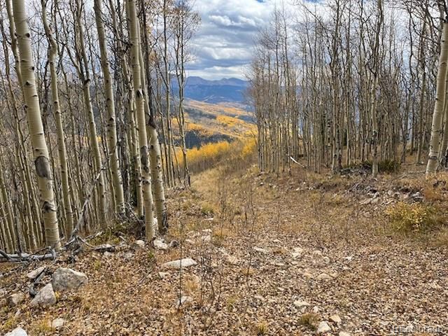 6557 Schlueter Rd, San Luis, CO 81152