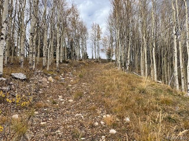 6557 Schlueter Rd, San Luis, CO 81152