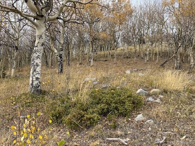 6557 Schlueter Rd, San Luis, CO 81152