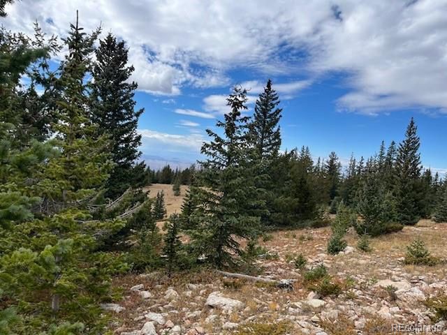 6557 Schlueter Rd, San Luis, CO 81152