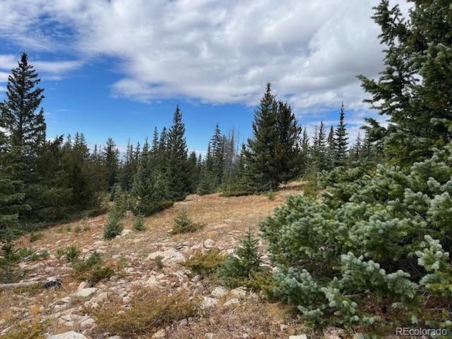 6557 Schlueter Rd, San Luis, CO 81152