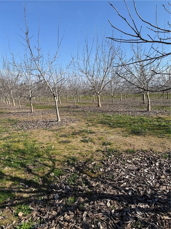 Image 10 of property listing at 0 Mcfadden Lane, Chico, CA 95928