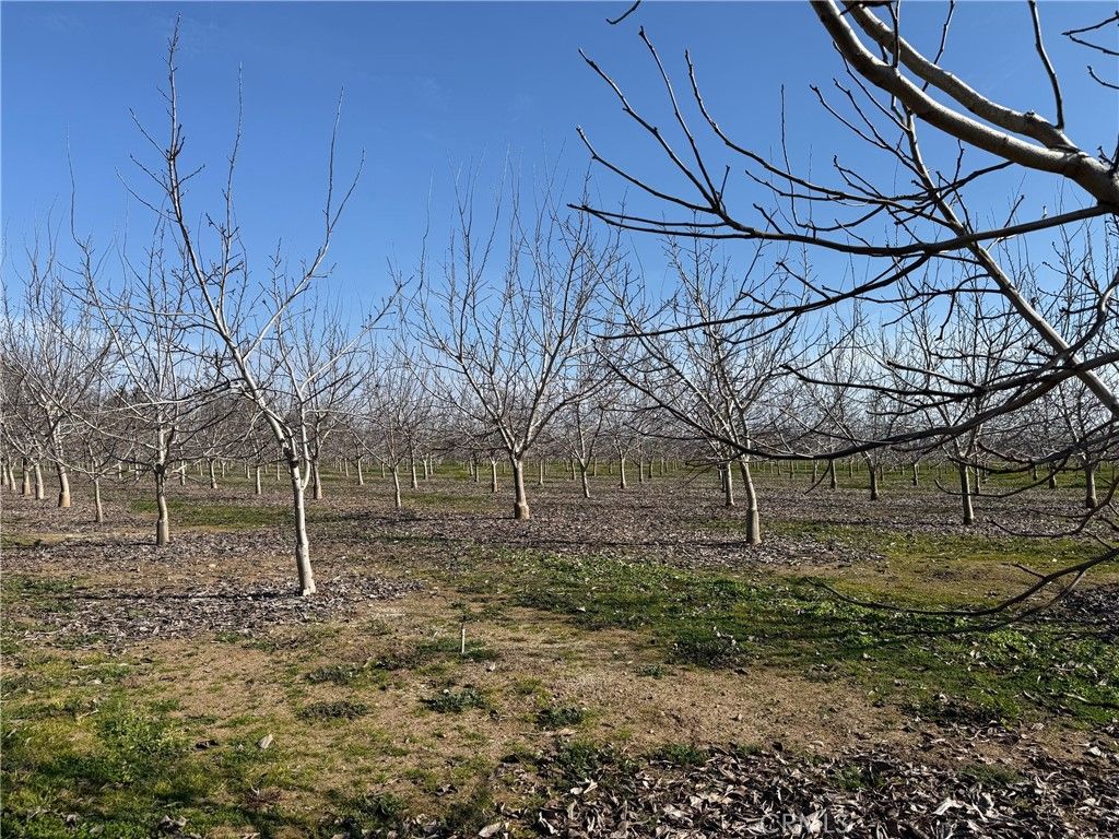 Image 11 of property listing at 0 Mcfadden Lane, Chico, CA 95928