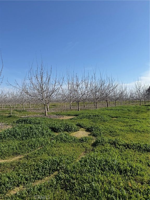 Image 12 of property listing at 0 Mcfadden Lane, Chico, CA 95928