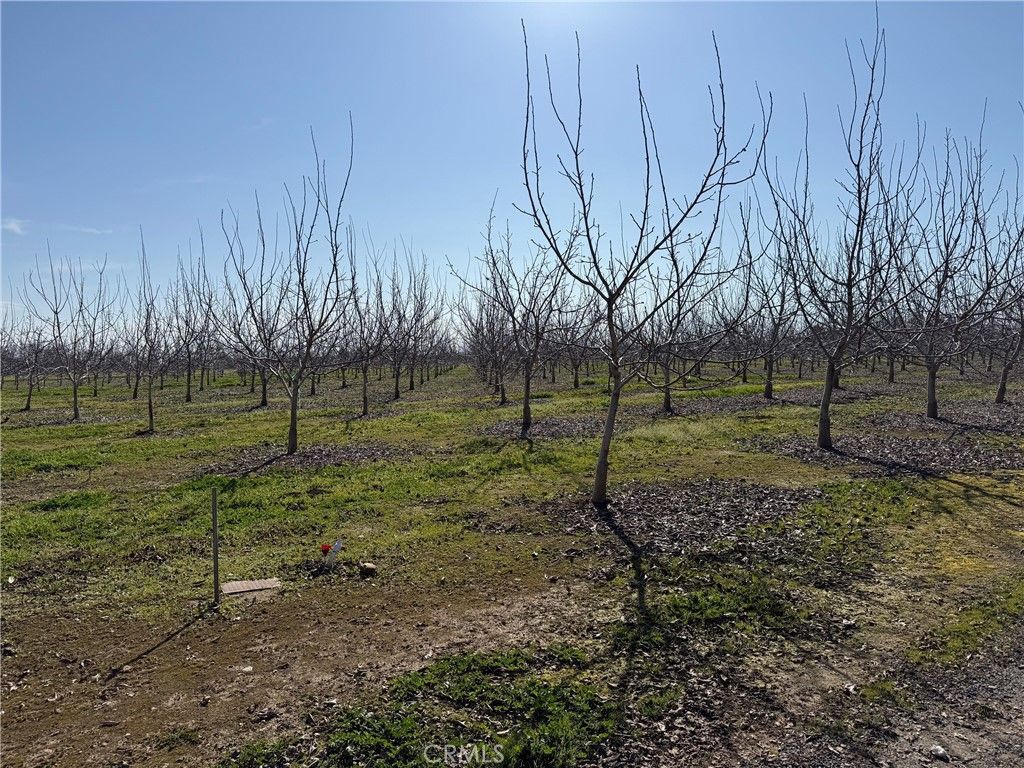 Image 13 of property listing at 0 Mcfadden Lane, Chico, CA 95928