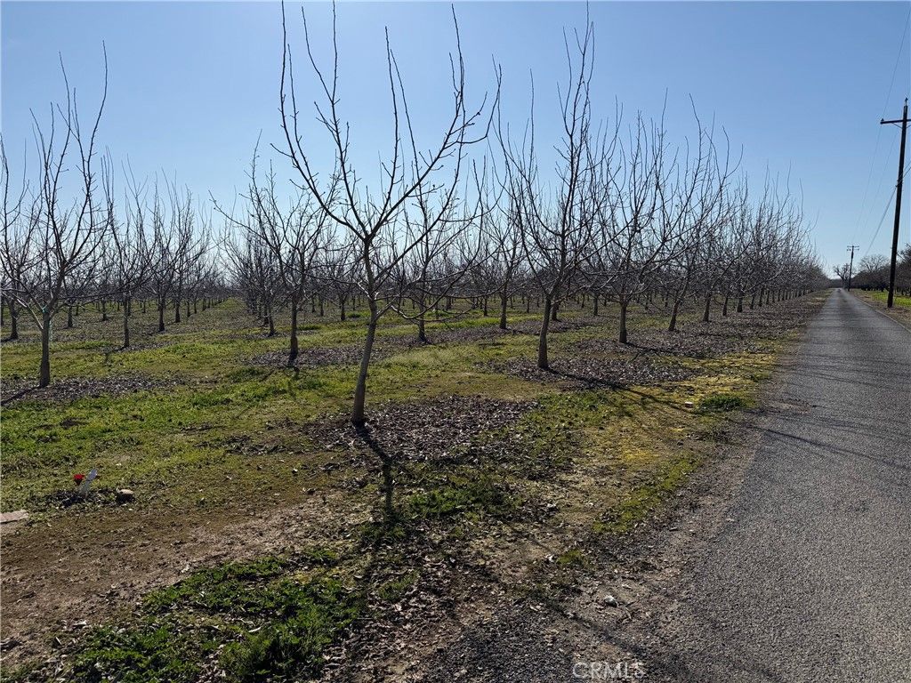 Image 14 of property listing at 0 Mcfadden Lane, Chico, CA 95928