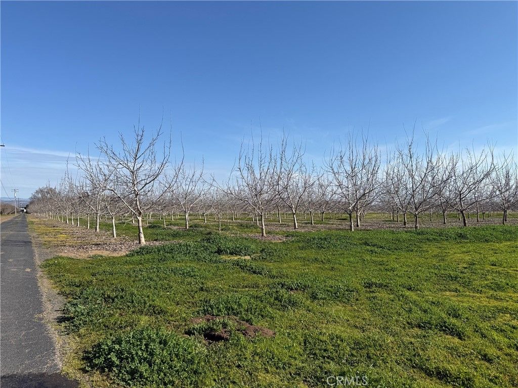Image 3 of property listing at 0 Mcfadden Lane, Chico, CA 95928