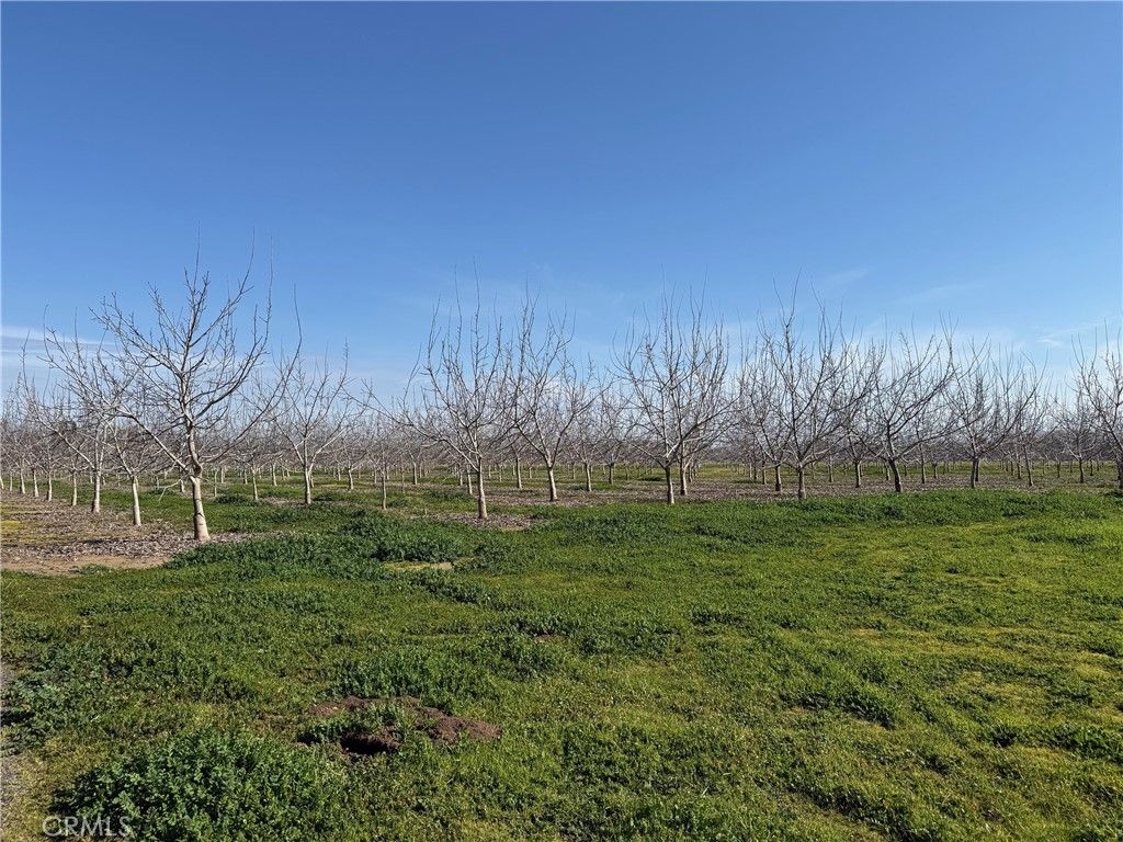 Image 4 of property listing at 0 Mcfadden Lane, Chico, CA 95928