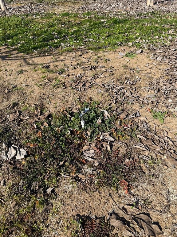 Image 7 of property listing at 0 Mcfadden Lane, Chico, CA 95928