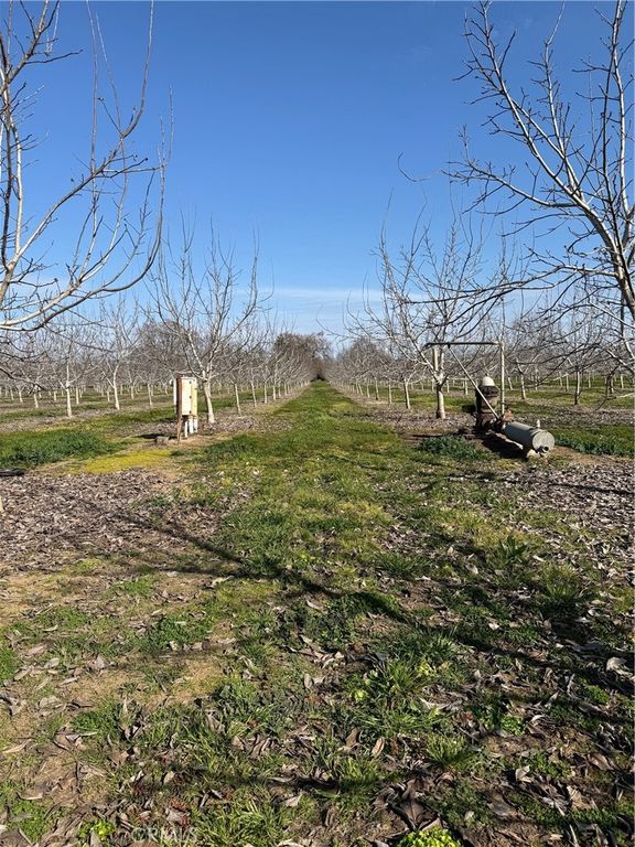 Image 8 of property listing at 0 Mcfadden Lane, Chico, CA 95928