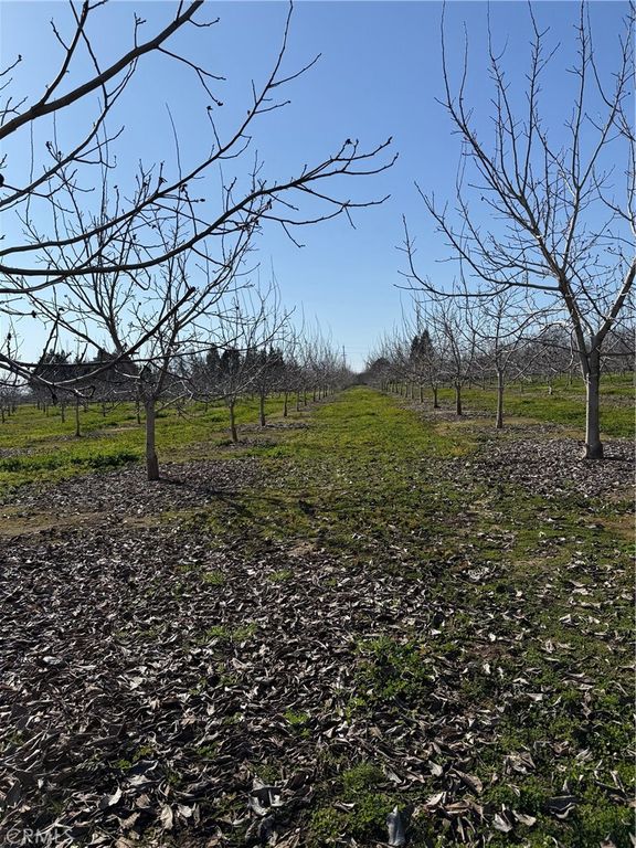 Image 9 of property listing at 0 Mcfadden Lane, Chico, CA 95928