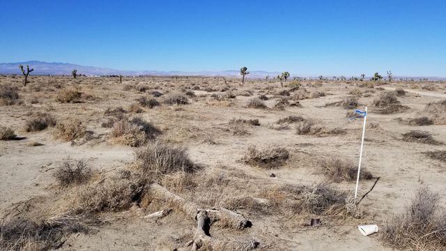 Vic Avenue G12 13 Ste, Lancaster, CA 93535