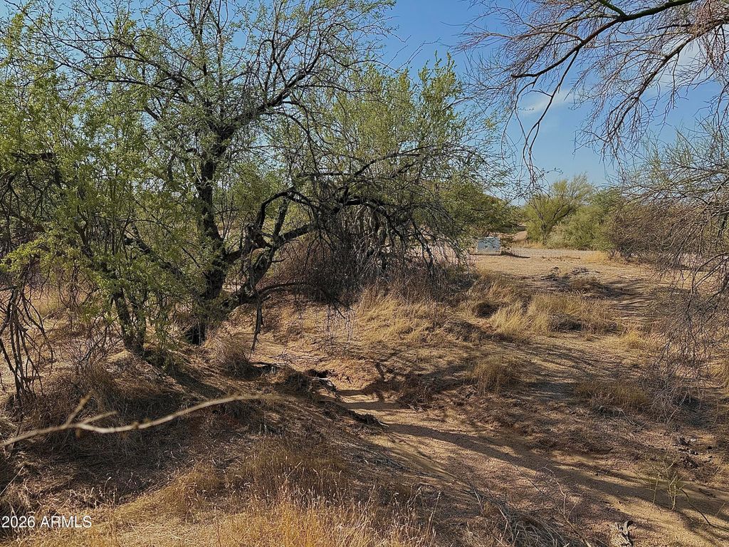 161XX E Dixileta Drive -, Scottsdale, AZ 85262 — photo 3