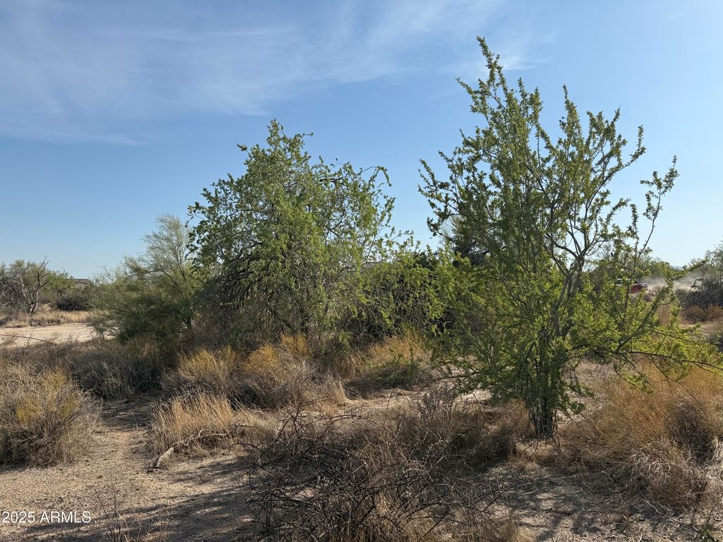 161XX E Dixileta Drive -, Scottsdale, AZ 85262 — photo 4